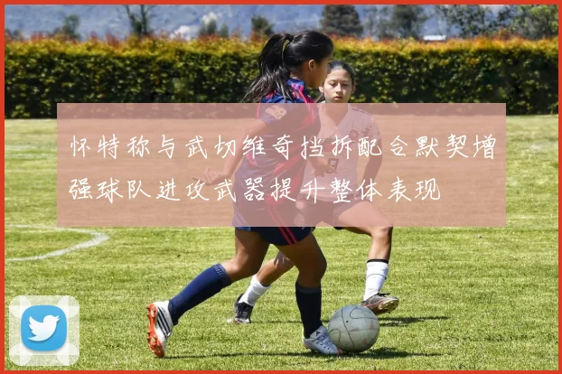 怀特称与武切维奇挡拆配合默契增强球队进攻武器提升整体表现
