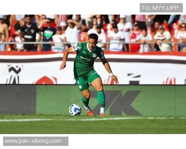 帕尔梅拉斯主帅赞罗克与恩德里克埃斯特旺同样出色的年轻球员